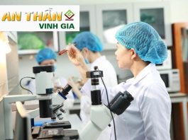 Công nghệ bào chế An Thần Vinh Gia